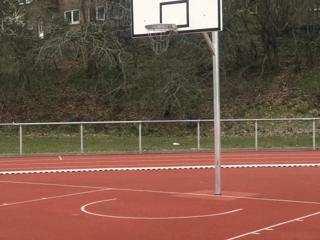 Profile of the basketball court Gudewert-Gemeinschaftsschule, Eckernförde, Germany