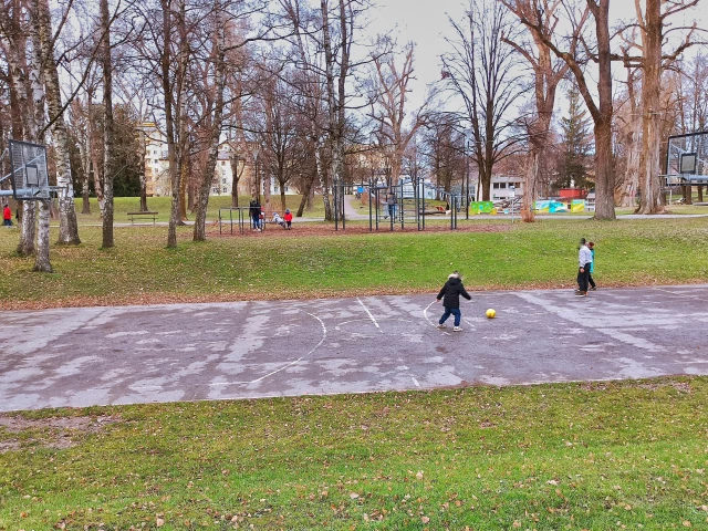 Profile of the basketball court Lehener park, Salzburg, Austria
