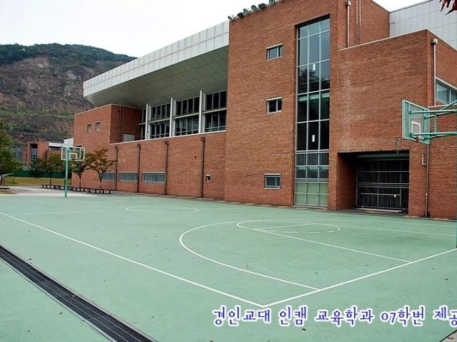 Profile of the basketball court Gyeongin National University of Education, Anyang, South Korea