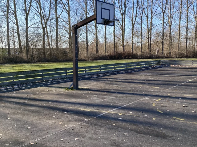 Profile of the basketball court Bag Ahornhallen, Ringsted, Denmark