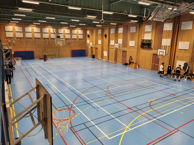Profile of the basketball court Källängsskolans Sporthall, Lidingö, Sweden