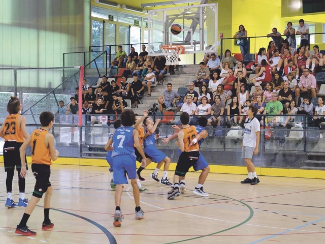 Profile of the basketball court La Llana, Rubí, Spain