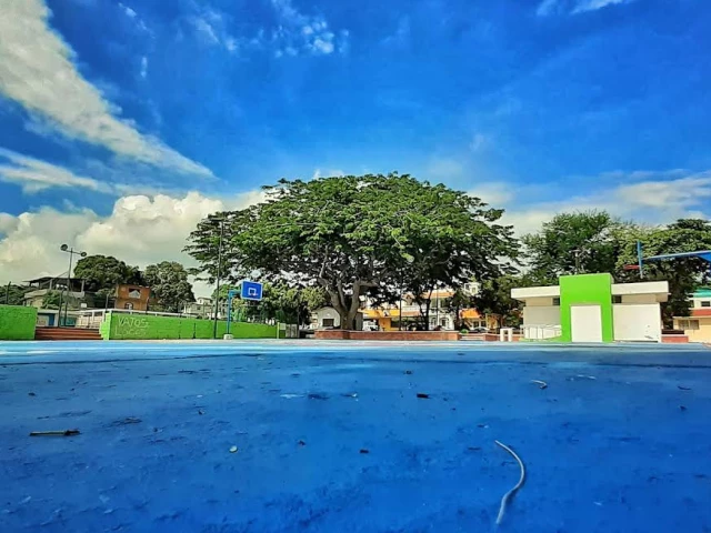 Profile of the basketball court Canchas Basketball Plaza Estrella, Tampico, Mexico