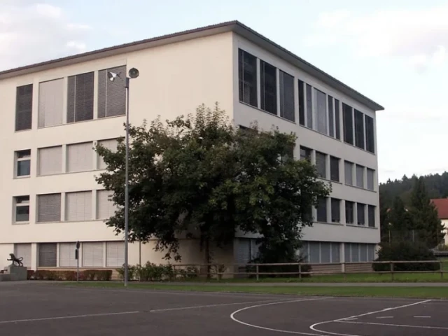 Profile of the basketball court Neumatt Schulhaus Court, Reinach, Switzerland