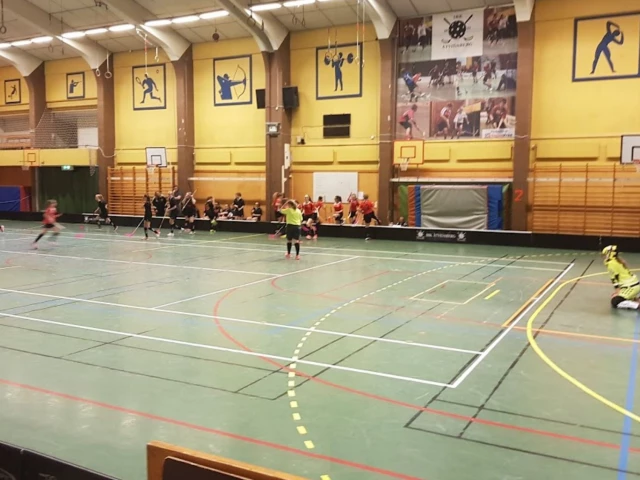 Profile of the basketball court Åtvidabergs Sporthall, Åtvidaberg, Sweden