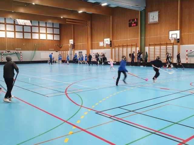 Profile of the basketball court Rydshallen, Linköping, Sweden