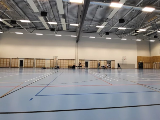 Profile of the basketball court Hønefoss Arena, Hønefoss, Norway