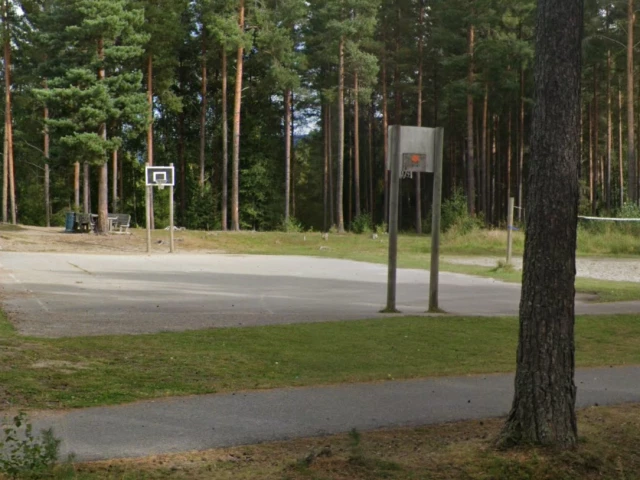 Profile of the basketball court Veienmarka ungdomsskole, Hønefoss, Norway