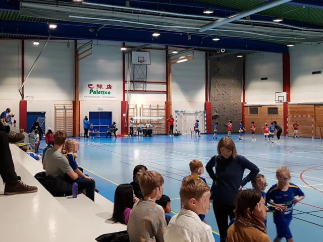 Profile of the basketball court Ekneshallen, Krokstadelva, Norway