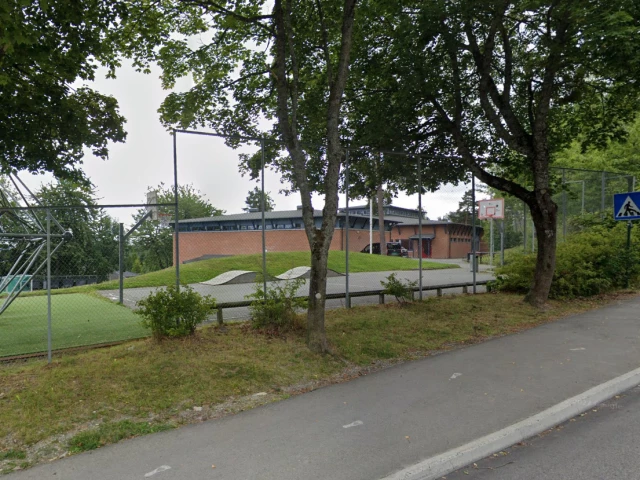 Profile of the basketball court Rønningen skole, Borgen, Norway