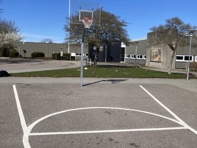 Profile of the basketball court Højby skole, Højby, Denmark