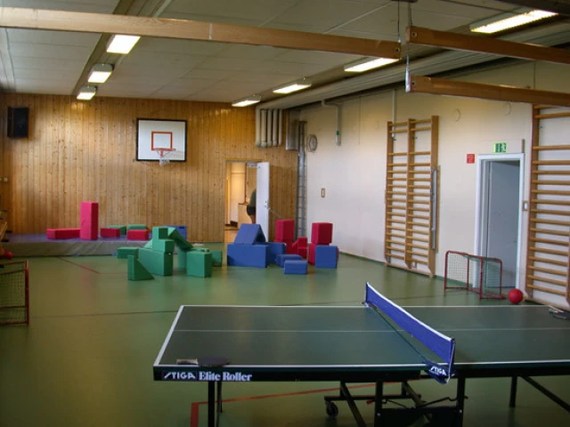 Profile of the basketball court Bullmark skola gymnastiksal, Bullmark, Sweden