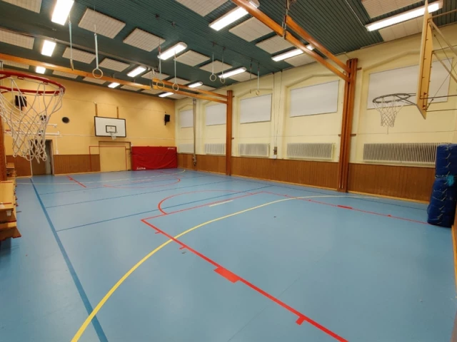 Profile of the basketball court Grisbacka skolas gymnastiksal, Umeå, Sweden