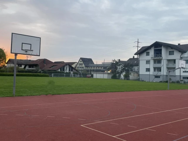 Profile of the basketball court MPS, Siebnen, Switzerland