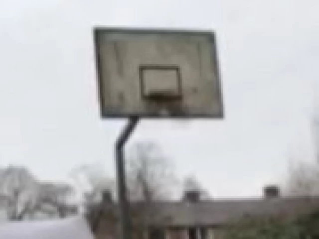 Profile of the basketball court Single hoop, Veendam, Netherlands