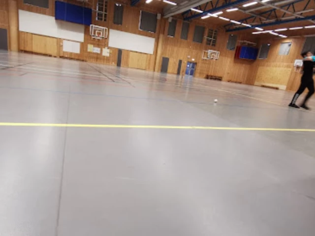 Profile of the basketball court Örnäsets Sporthall, Luleå, Sweden