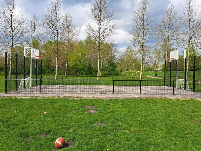 Profile of the basketball court Oranjewoud, Oranjewoud, Netherlands