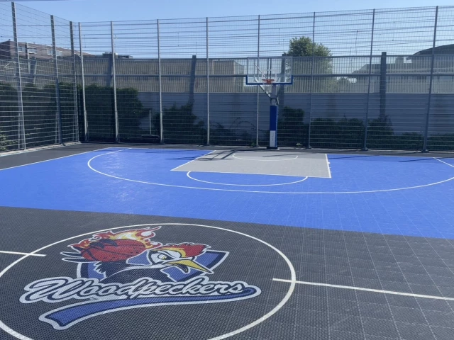 Profile of the basketball court Urban Sportcourt De Slinger, Houten, Netherlands