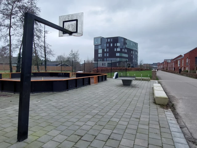 Profile of the basketball court Het Zand, Utrecht, Netherlands