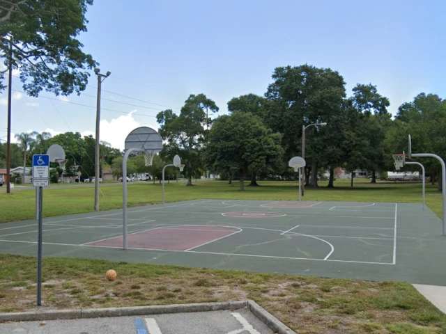 Profile of the basketball court Montclair Park, Clearwater, FL, United States