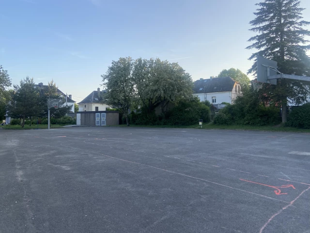Profile of the basketball court Esch West Coast, Esch-sur-Alzette, Luxembourg