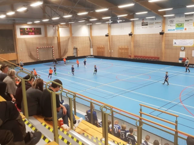 Profile of the basketball court Envikens Sporthall, Enviken, Sweden