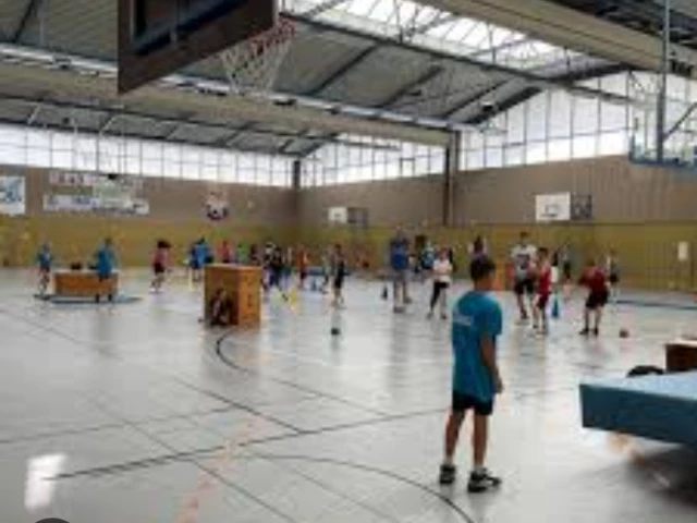 Profile of the basketball court Turngemeinde Würzburg, Wurzburg, Germany