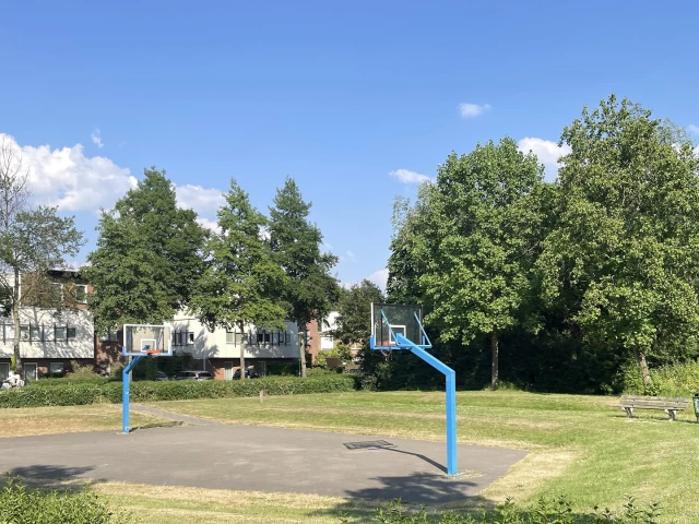 Profile of the basketball court Binnentuin / Geuzenland, Houten, Netherlands