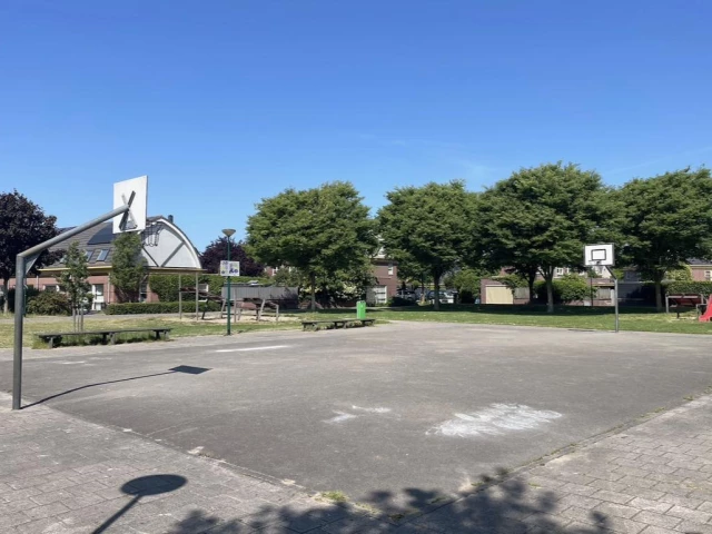 Profile of the basketball court Speeltuin Tuinbouw, Houten, Netherlands