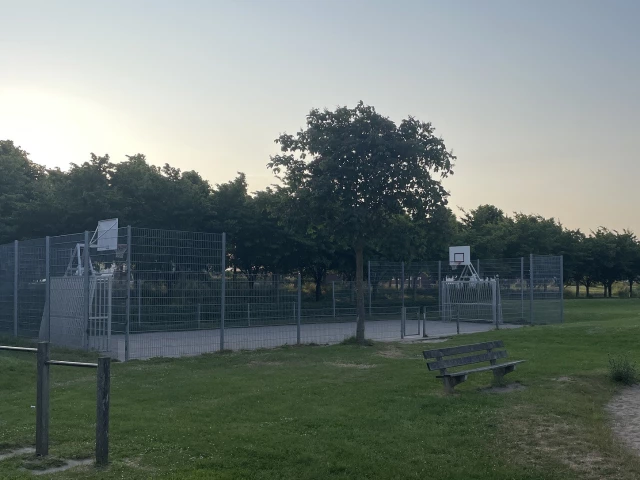 Profile of the basketball court Basketbalveld Beekmos, Houten, Netherlands