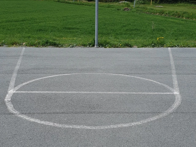 Profile of the basketball court Frosta Skole Basketball Court, Frosta, Norway