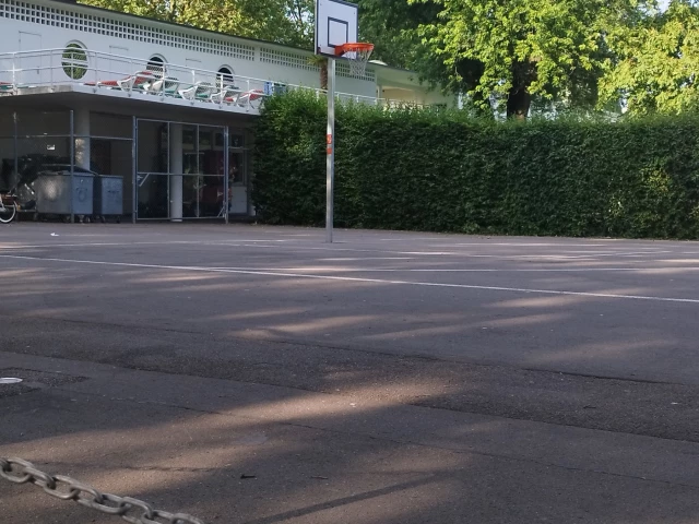 Profile of the basketball court Olten City Court, Olten, Switzerland
