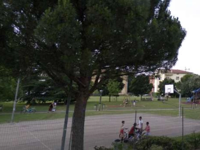 Profile of the basketball court Parco Fiorentina, Arezzo, Italy