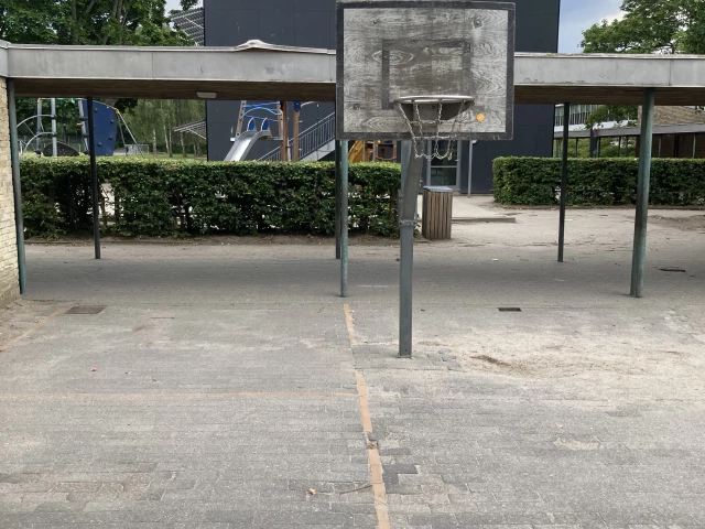 Profile of the basketball court Valhøj skole, Rødovre, Denmark