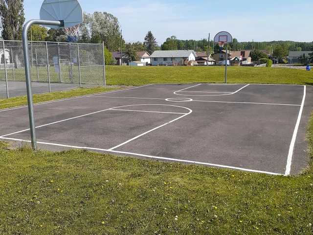Profile of the basketball court Tupper Street Park, Thunder Bay, Canada
