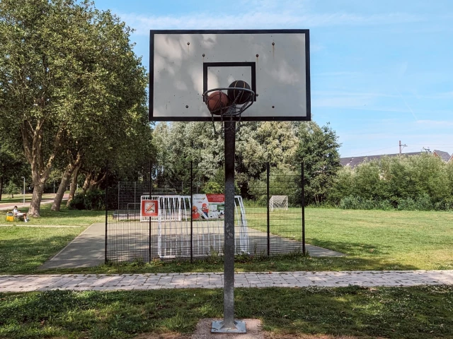 Profile of the basketball court Basketball court waddinxveen, Waddinxveen, Netherlands