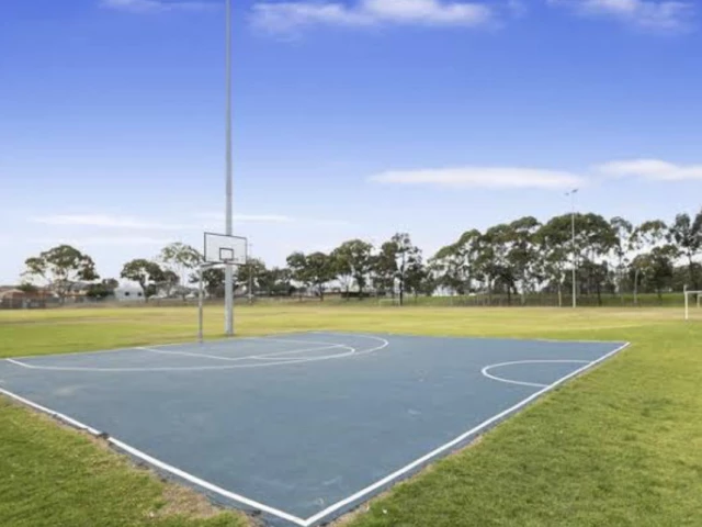 Profile of the basketball court Coleman Park Halfcourt, Berala, Australia