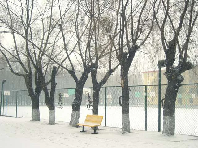 Profile of the basketball court Harbin Medical University, Harbin, China