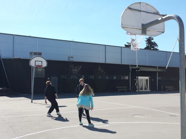Profile of the basketball court Trekantenskolan, Trekanten, Sweden