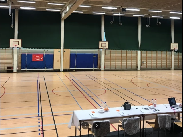 Profile of the basketball court Nybro Sporthall, Nybro, Sweden