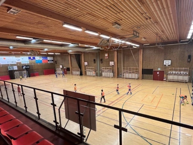 Profile of the basketball court Norrvångeskolans Sporthall, Mörrum, Sweden