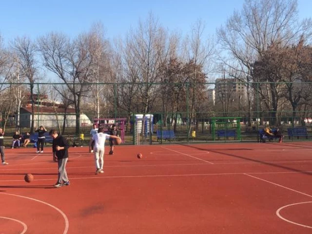 Profile of the basketball court Parc Tineretului, Bucharest, Romania