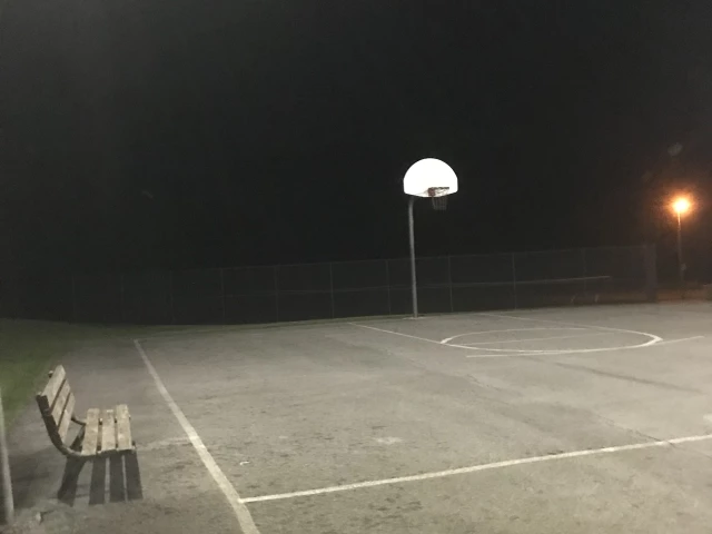 Profile of the basketball court Lloyd Roland Park Court, Akron, PA, United States
