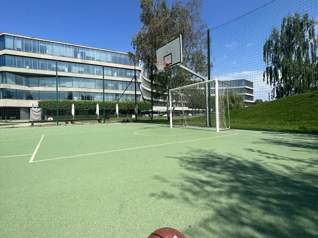 Profile of the basketball court Royal Wilanow, Warszawa, Poland