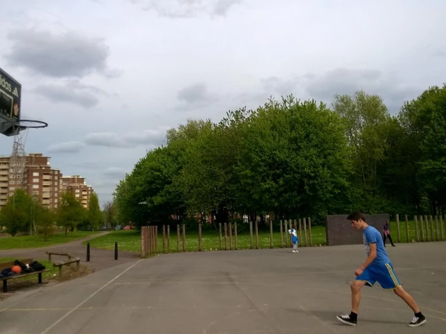 Profile of the basketball court Duddeston Manor Road, Birmingham, United Kingdom