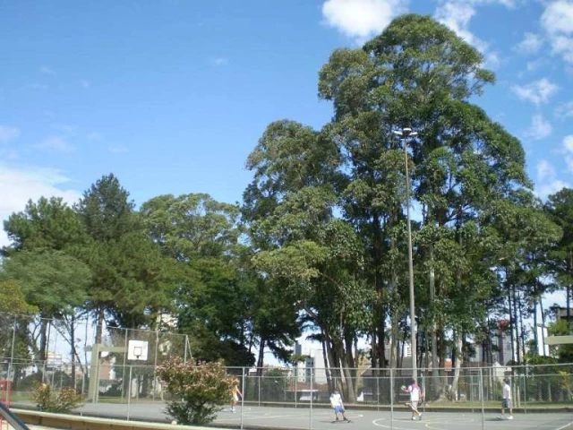 Profile of the basketball court Praça Mario C. Eppinghauss, Curitiba, Brazil
