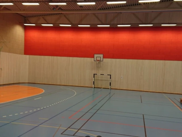 Profile of the basketball court Liviushallen, Kristianstad, Sweden