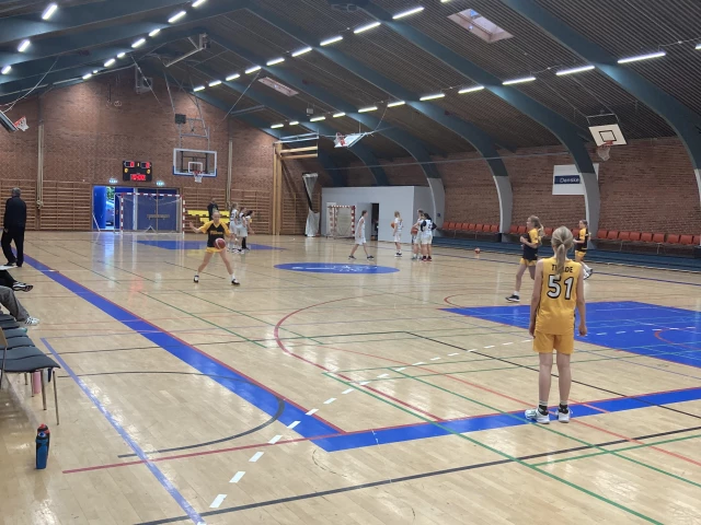 Profile of the basketball court Søndervangshallen, Birkerød, Denmark