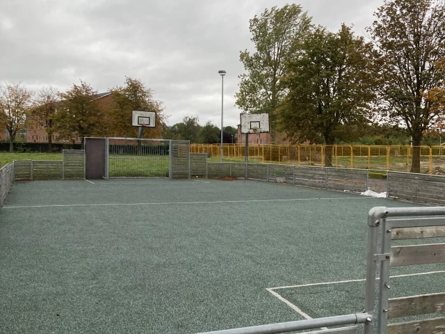 Profile of the basketball court Selmoseskolen, Taastrup, Denmark
