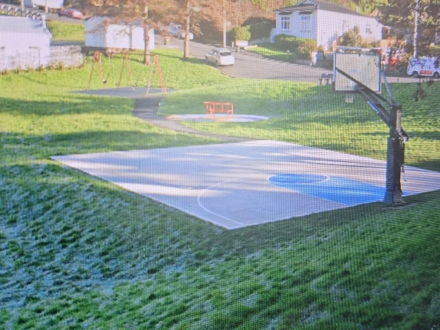 Profile of the basketball court Hudson Park, Dunedin, New Zealand
